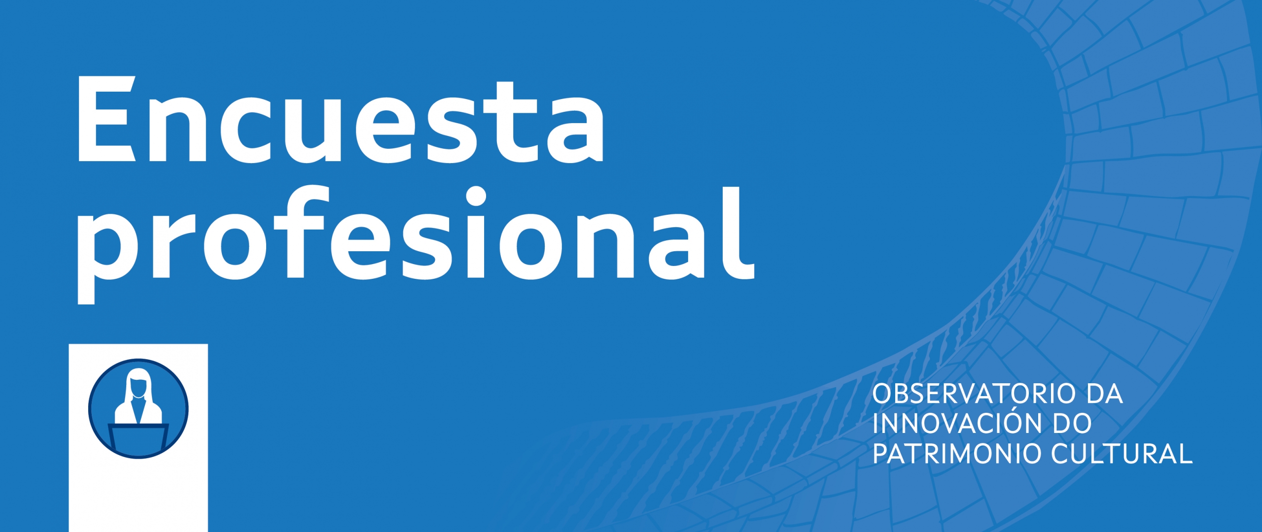 Encuesta profesional