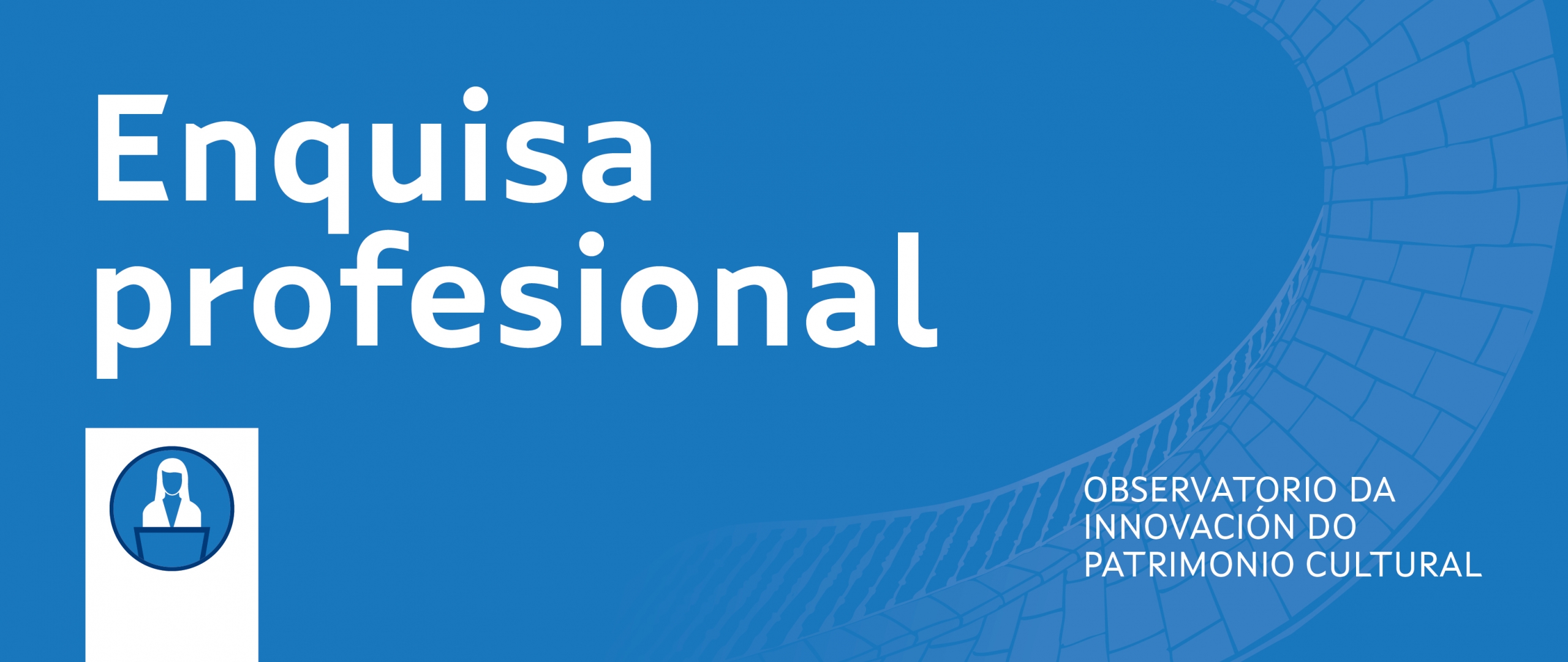 Enquisa profesional