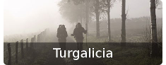 Acceso a Turgalicia
