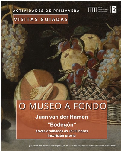 Visitas guiadas no Museo de Belas Artes