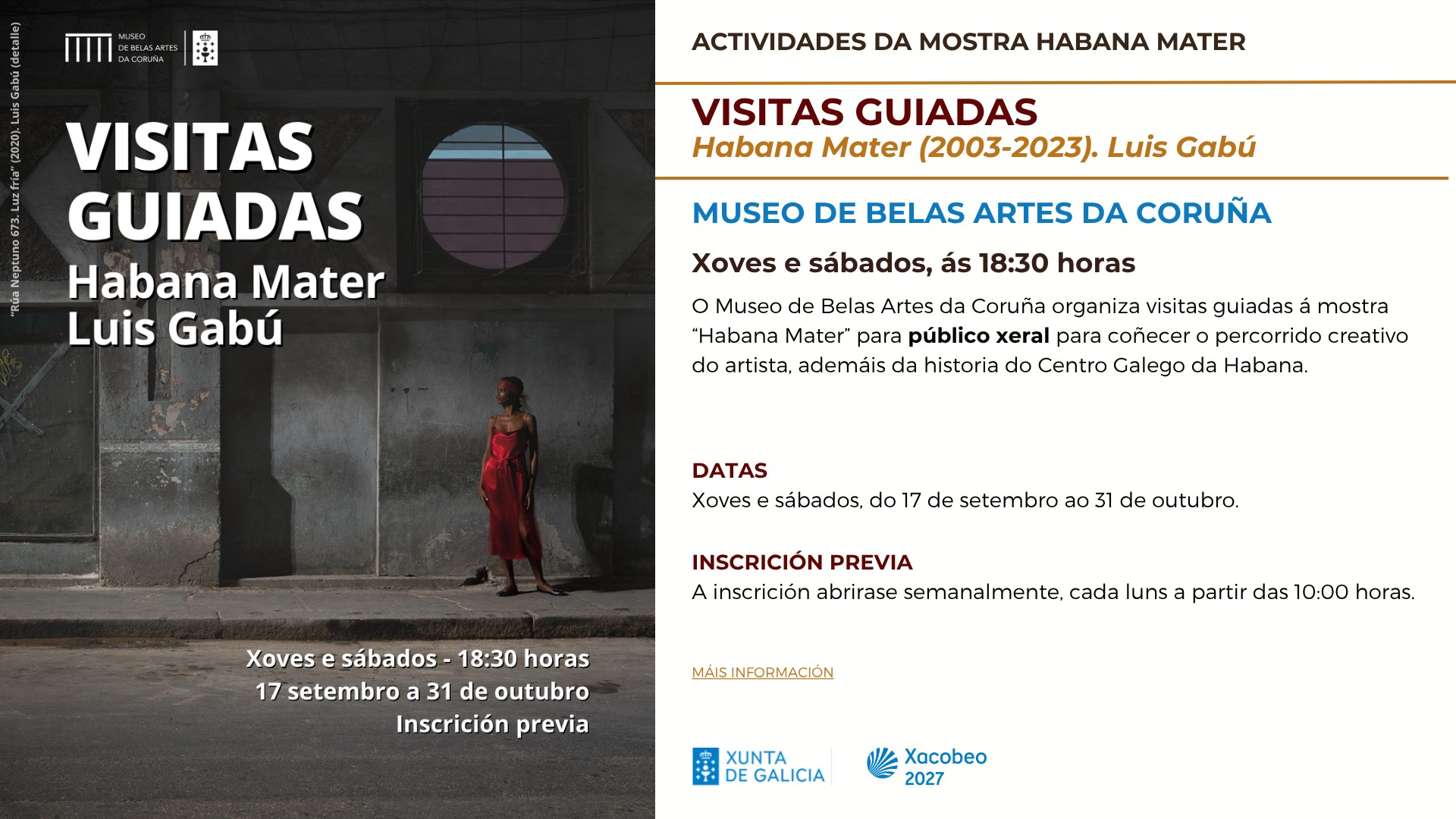 Visitas guiadas en el Museo de Bellas Artes de A Coruña a la exposición Habana Mater de Luis Gabú