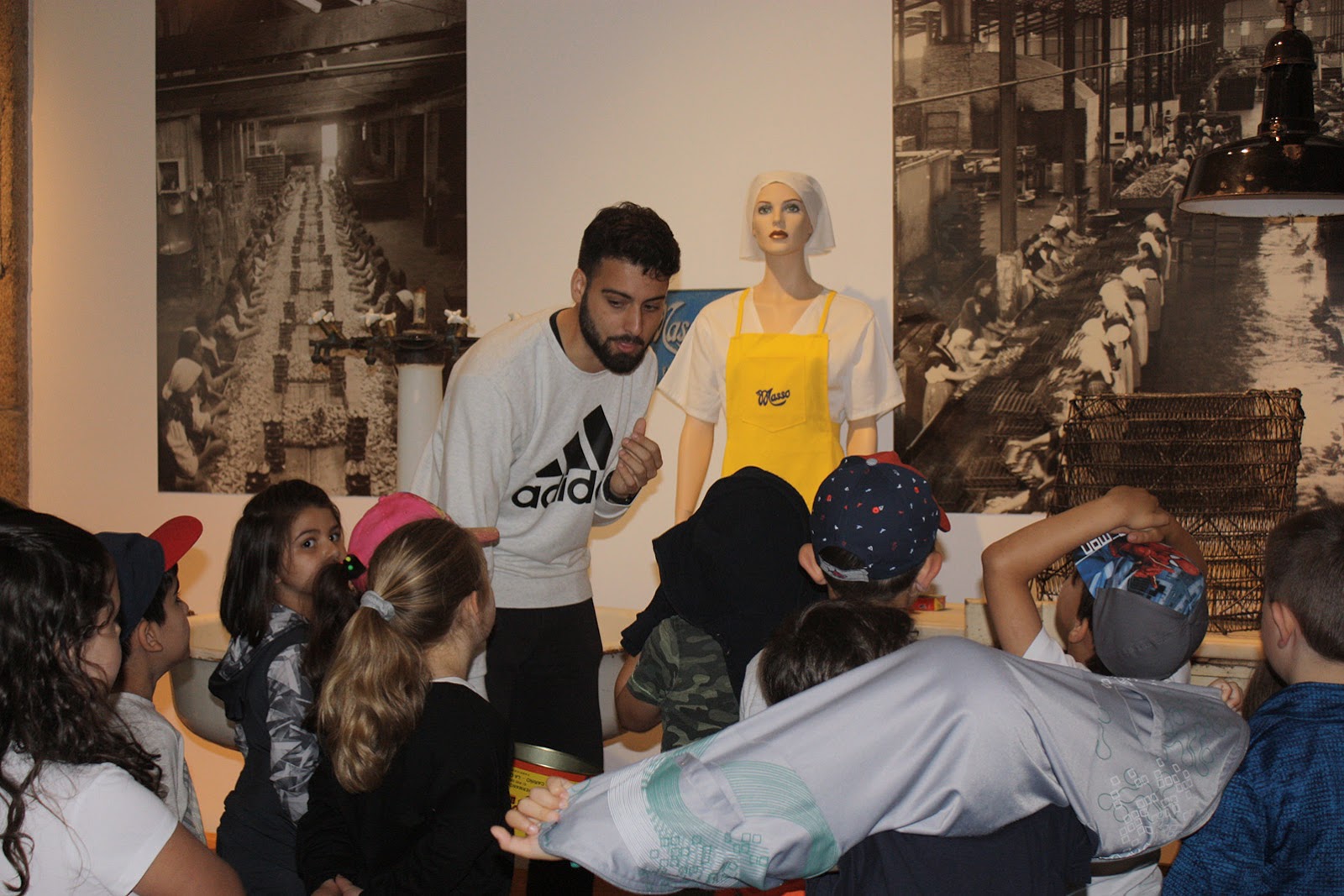 Visitas guiadas no Museo Massó