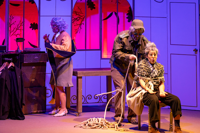 Berenguela na gaiola