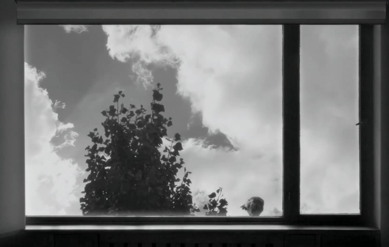 24 frames
