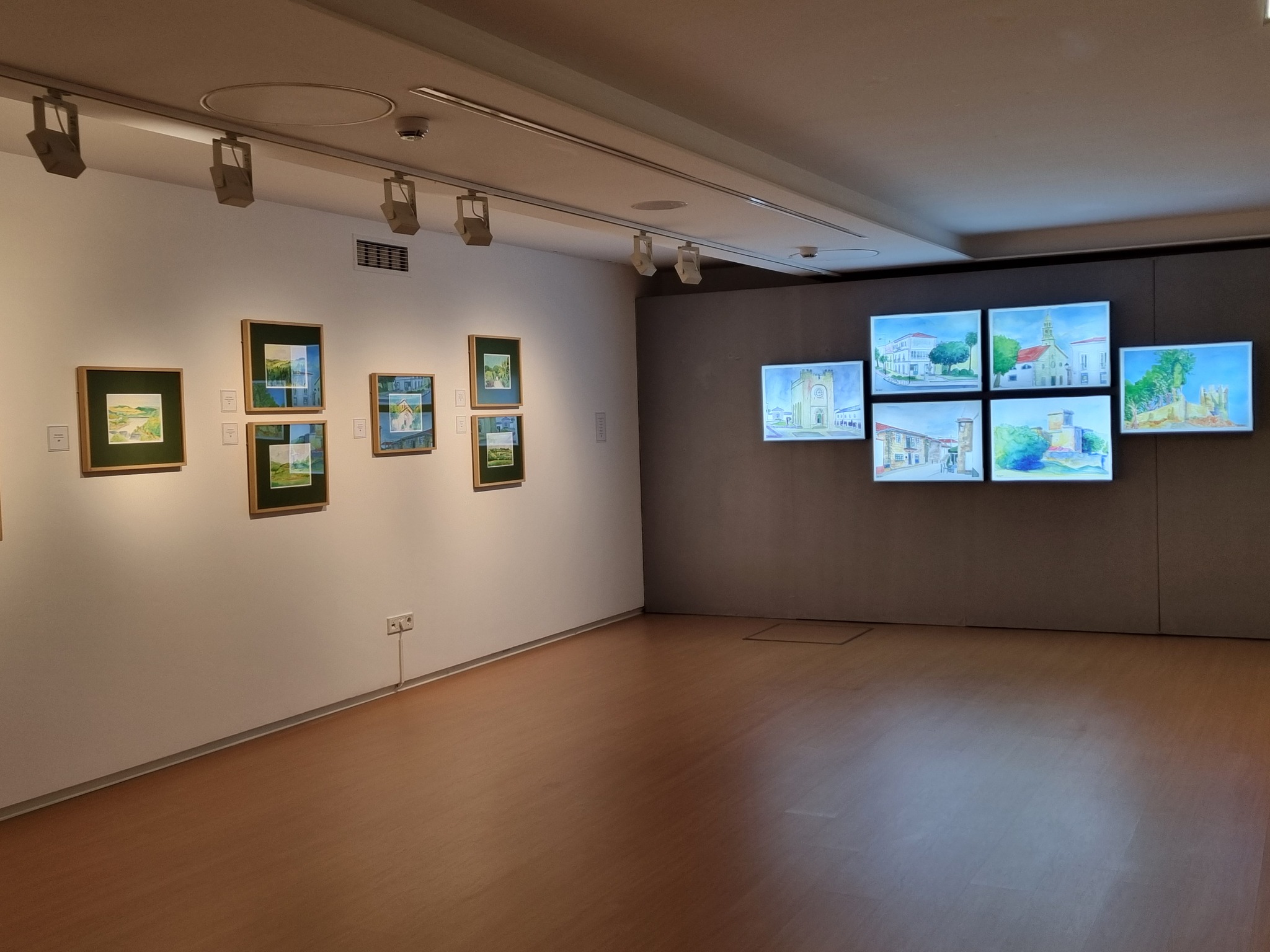 Compostela vs Testimonium. 100 kilómetros de peregrinación