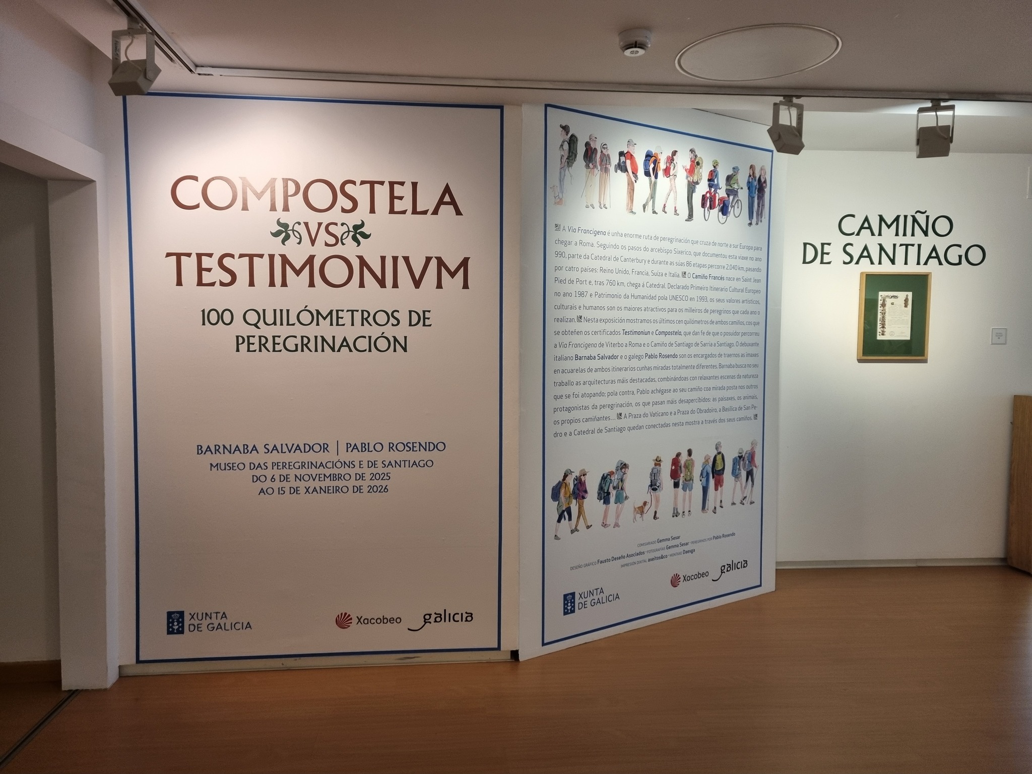 Compostela vs Testimonium. 100 kilómetros de peregrinación
