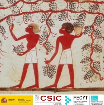 Cartel de la actvidade