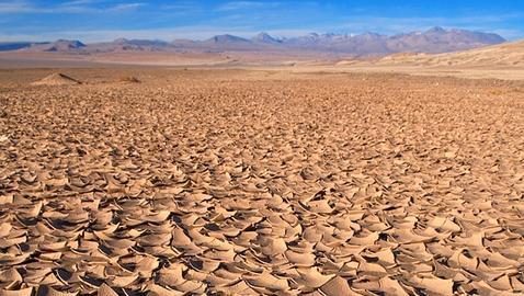 Auga, o sangue da terra