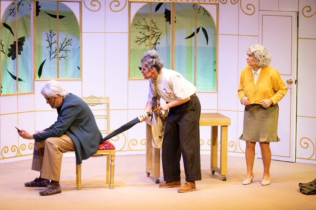 Berenguela na gaiola