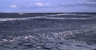 Brise- Glace