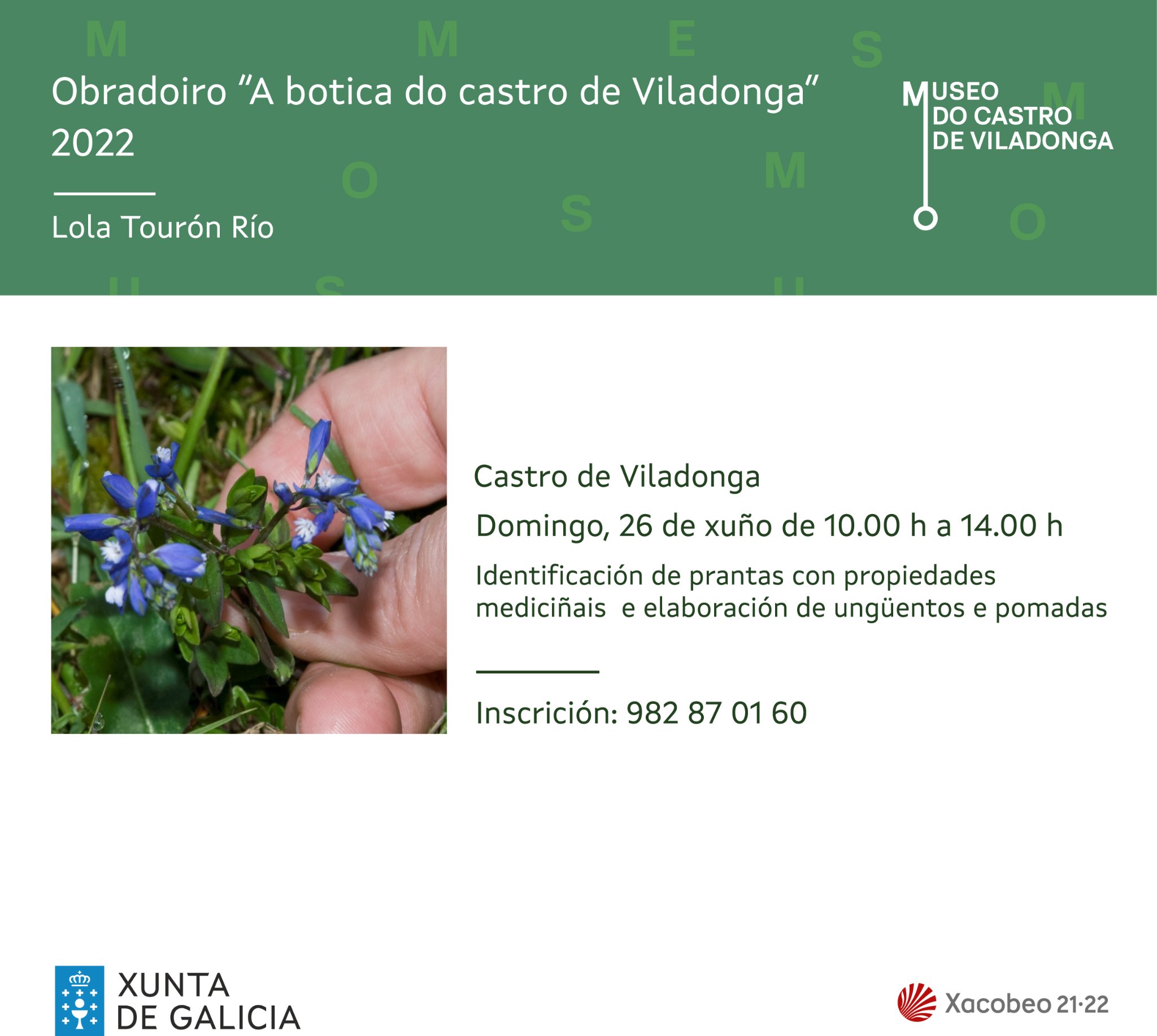 A botica do Castro de Viladonga