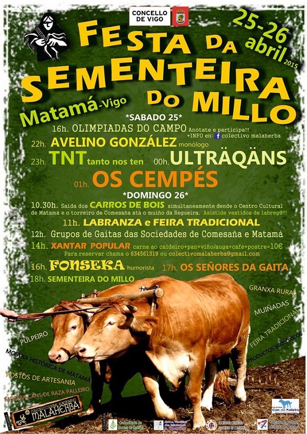 Cartel de la Fiesta
