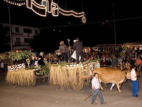 Desfile de carros tirados por bueyes