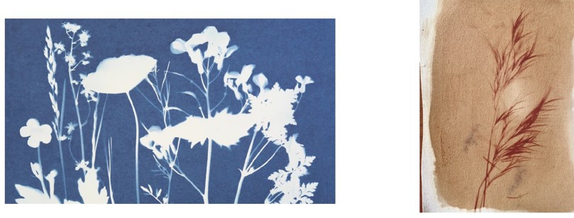 Obradoiros creativos no Museo Etnolóxico de Ribadavia. Cianotipia