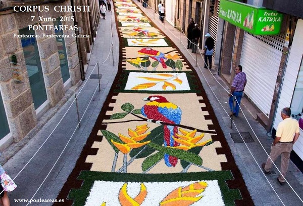 Alfombra floral