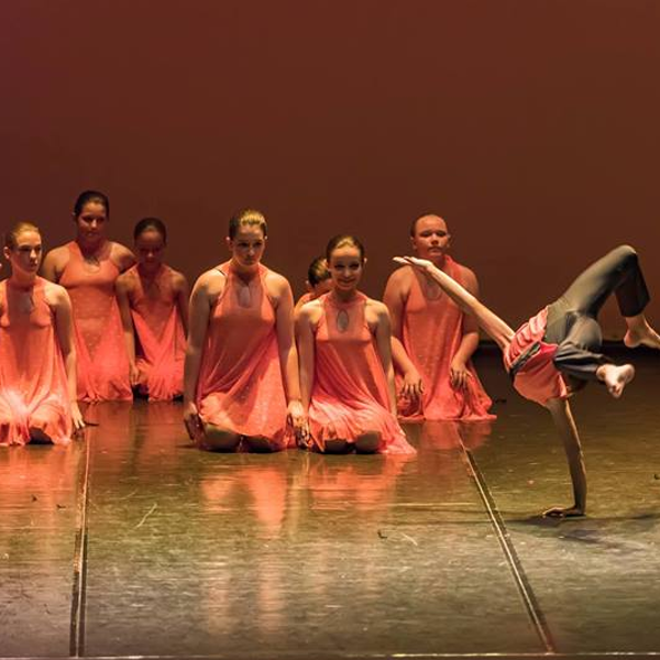 Danza Paloma