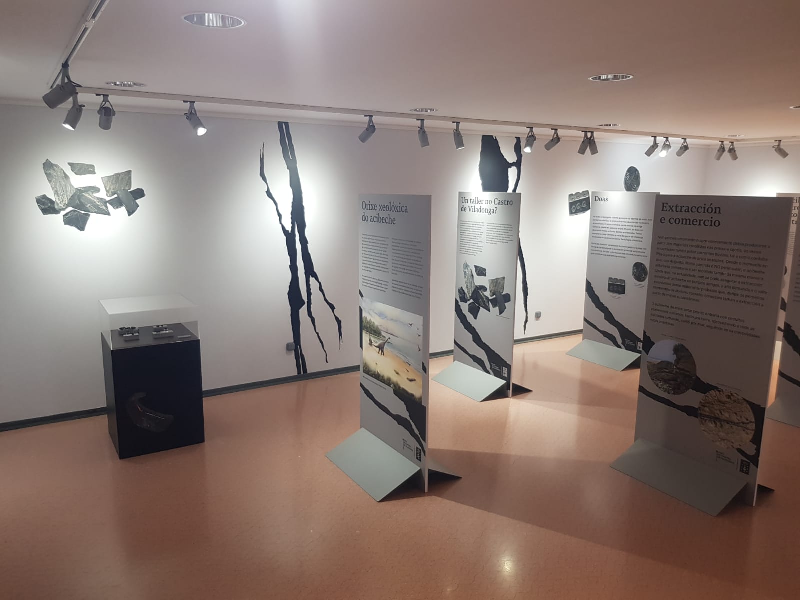 Exposición da investigación sobre os acibeches no Castro de Viladonga
