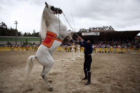 Momento da 'Mostra Cabalar'