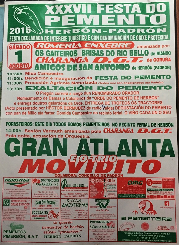 Cartel del programa de la fiesta