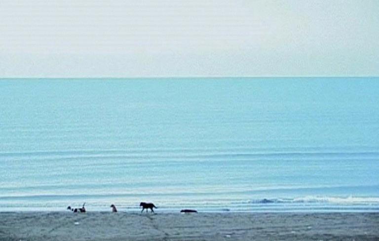  Five (dedicated to Ozu)