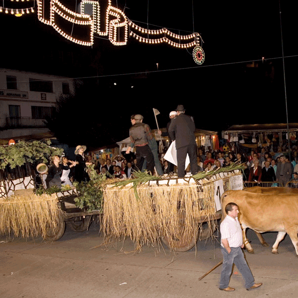 Folión de Carros