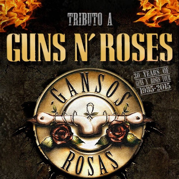 Gansos Rosas