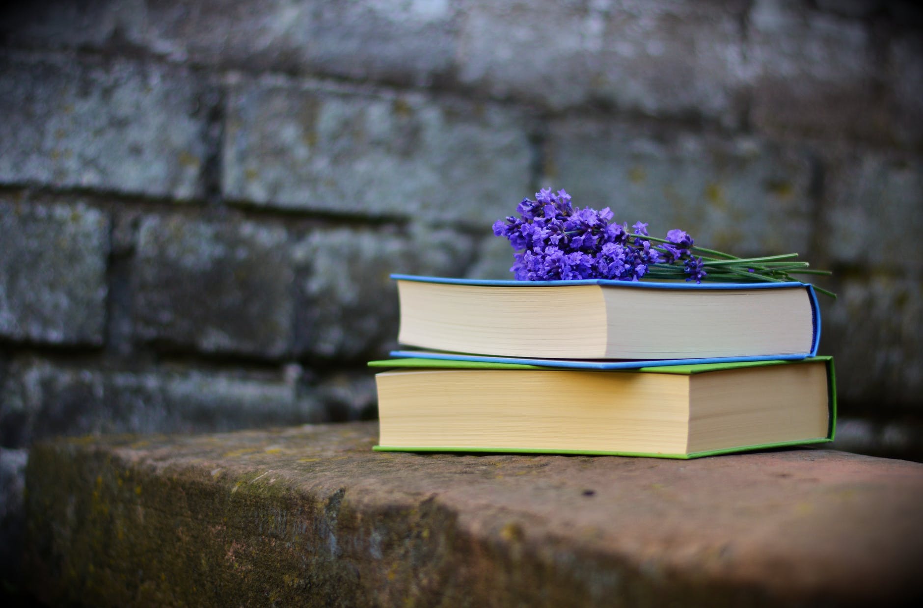 Paseos por la Pontevedra literaria