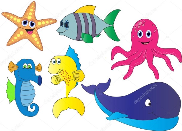 Mostra bibliográfica infantil ILUSTRADORES DE ANIMAIS DO MAR_Biblioteca Pública da Coruña MG Garcés