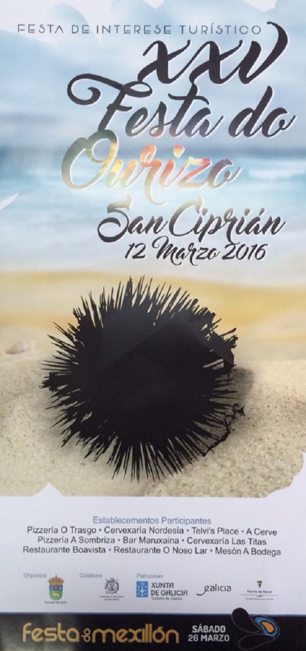 Cartel da 25ª Edición da Festa do Ourizo