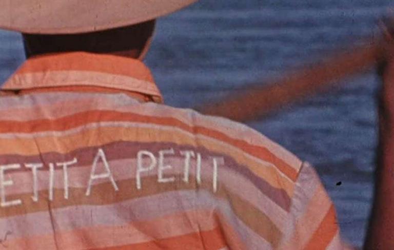 Petit à petit