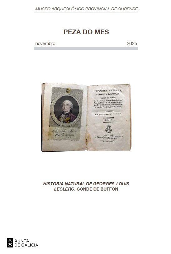 Pieza del mes de noviembre en el Museo Arqueológico de Ourense