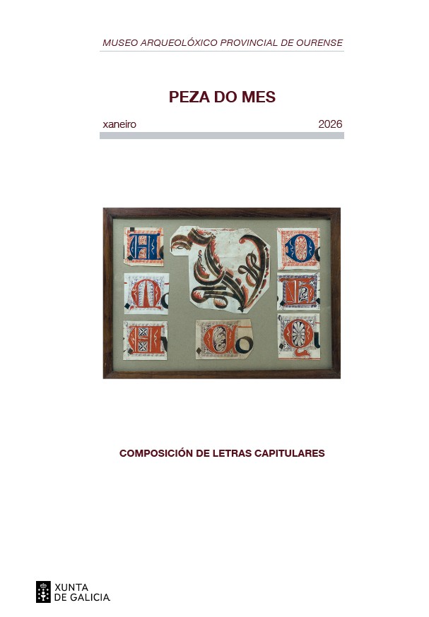 Portada de la publicación de la Pieza del Mes de enero del Museo Arqueológico de Ourense.