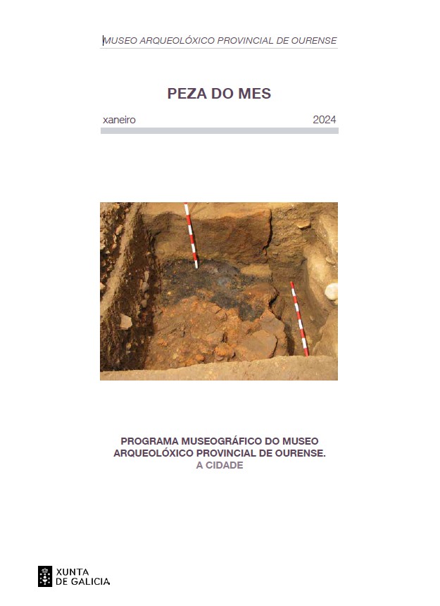 Portada de la publicación de la Pieza del Mes de enero del Museo Arqueológico de Ourense