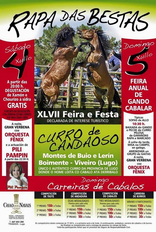 Programa de la fiesta