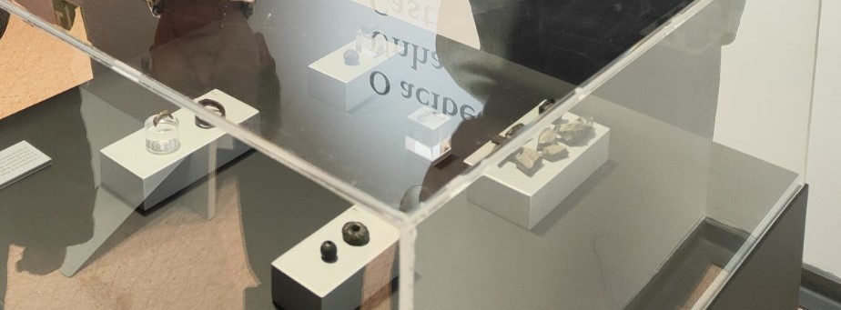 Exposición da investigación sobre os acibeches no Castro de Viladonga