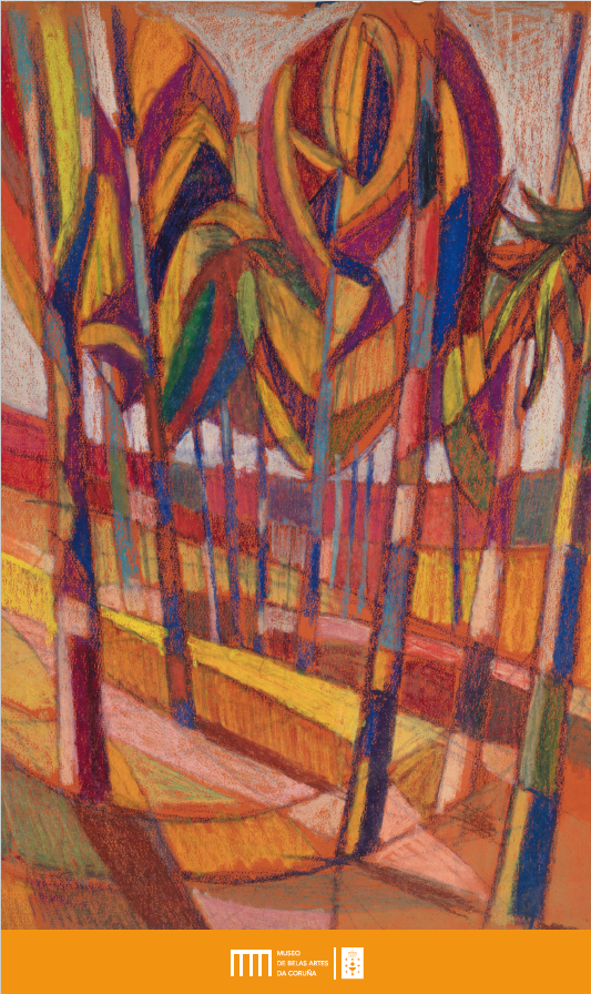 Exposición sobre Tomás Barros en el Museo de Bellas Artes de A Coruña