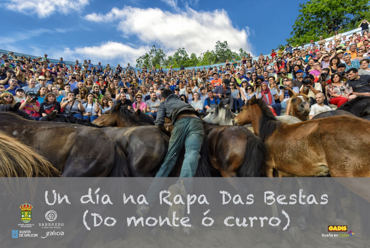 Un día na rapa das bestas