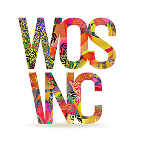 WOS INC