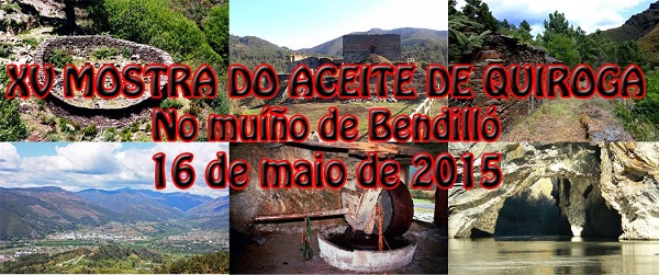 Banner muestra