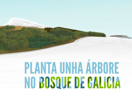 Nova: Las familias pueden plantar los árboles del Bosque de Galicia |  Cultura de Galicia