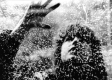 (S8) XVI Mostra Internacional de Cinema Periférico