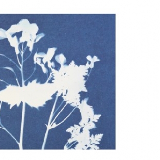 Obradoiros creativos no Museo Etnolóxico de Ribadavia. Cianotipia