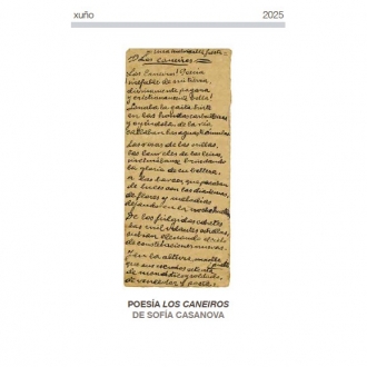 Portada da publicación da Peza do Mes de xuño do Museo Arqueolóxico de Ourense. Portada da publicación da Peza do Mes de xuño do Museo Arqueolóxico de Ourense.