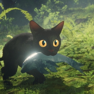 animaccion-2025.jpg