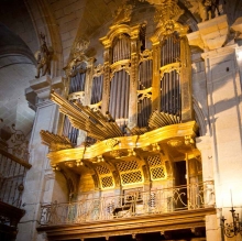 Rondas por el paisaje organística gallego