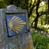 Camiños de Santiago