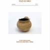 Portada da publicación virtual da Peza do Mes de xaneiro do Museo Arqueolóxico de Ourense Portada da publicación virtual da Peza do Mes de xaneiro do Museo Arqueolóxico de Ourense