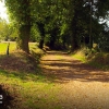Camino de Santiago
