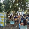 Festival SinSal 2020. Actividade A Senda Circular
