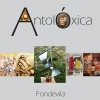 Mostra antolóxica de Fondevila en Silleda Mostra antolóxica de Fondevila en Silleda